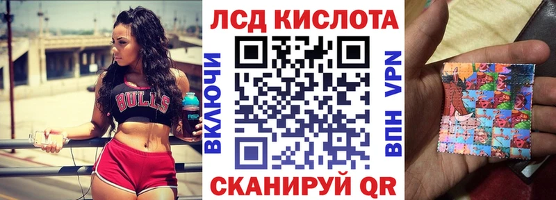 shop состав  где продают   Павловская  Марки N-bome 1500мкг 