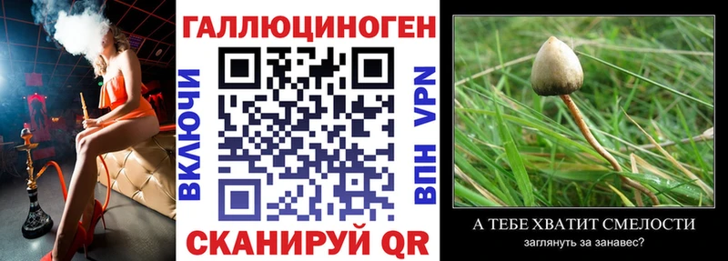 где продают   Павловская  даркнет клад  Галлюциногенные грибы MAGIC MUSHROOMS 